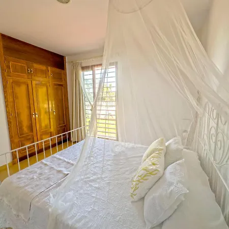 Pinares De Monaco En Roche, Conil, Cádiz * Conil De La Frontera