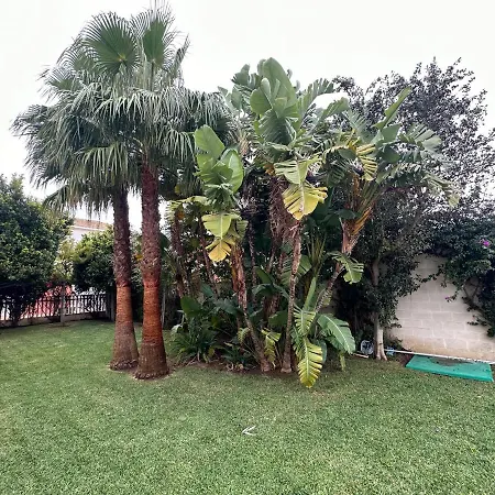 Pinares De Monaco En Roche, Conil, Cadiz * Conil De La Frontera